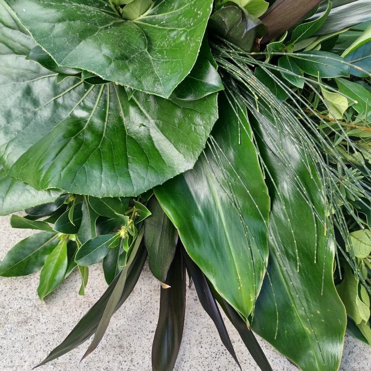 Close up detail shot of a textural, all foliage casket spray created by Kin Florist for a Warkworth funeral. It is a masculine casket spray with a variety of lush layered greenery, making it an affordable option for a nature lover or man.