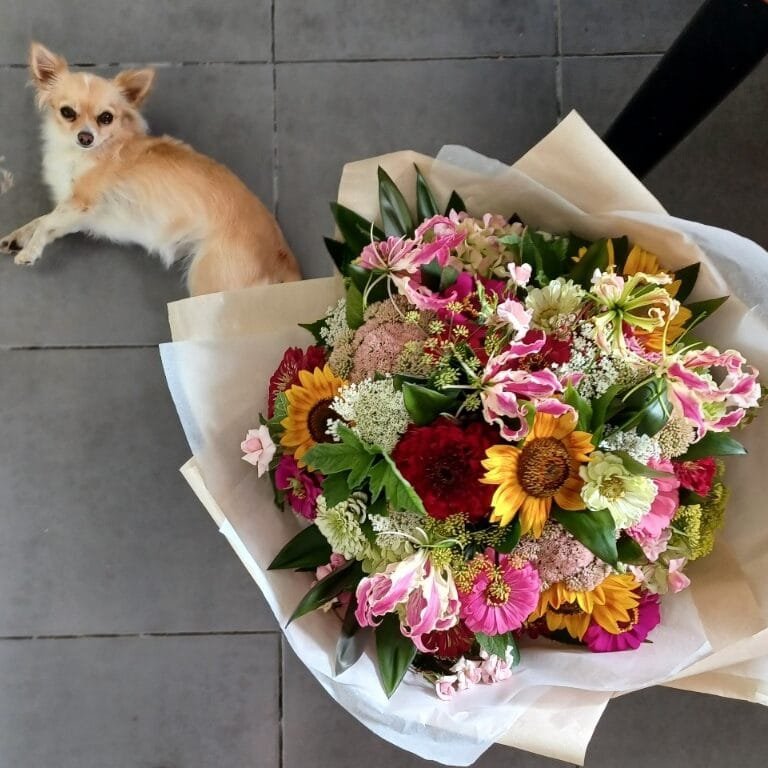 A top down shot of a large bouquet by Kin Florist Matakana. It is made from 100% local homegrown flowers including sunflowers, zinnias, gloriosas and roses, in pinks, yellows, and whites. The Kin Florist dog lays in the background.