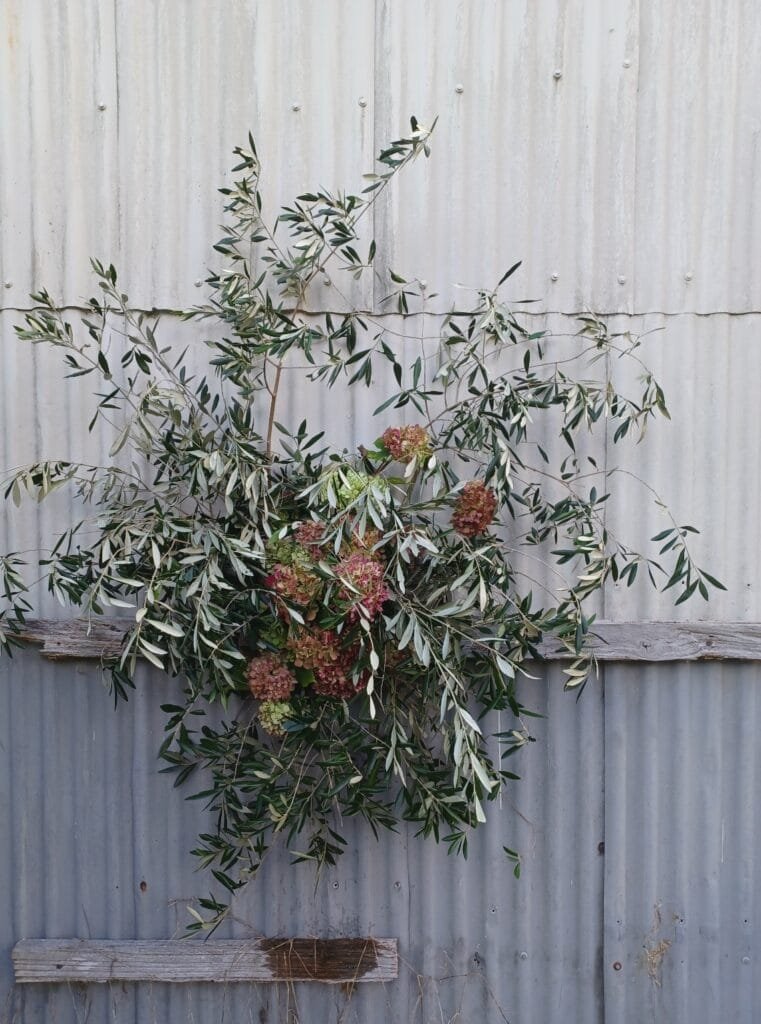 Large sculptural wedding arrangement by Kin Florist, featuring a mix of local, seasonal antique hydrangeas and olive foliage. The natural pale greens and rusty tones of the clustered hydrangeas pair with the silver-white and deep green of the olive leaves to create a sophisticated, minimalist look.