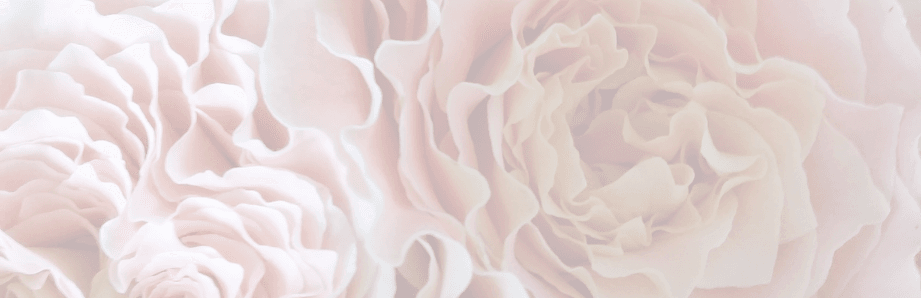 Locally grown frilly peach roses, at Kin Florist Matakana.