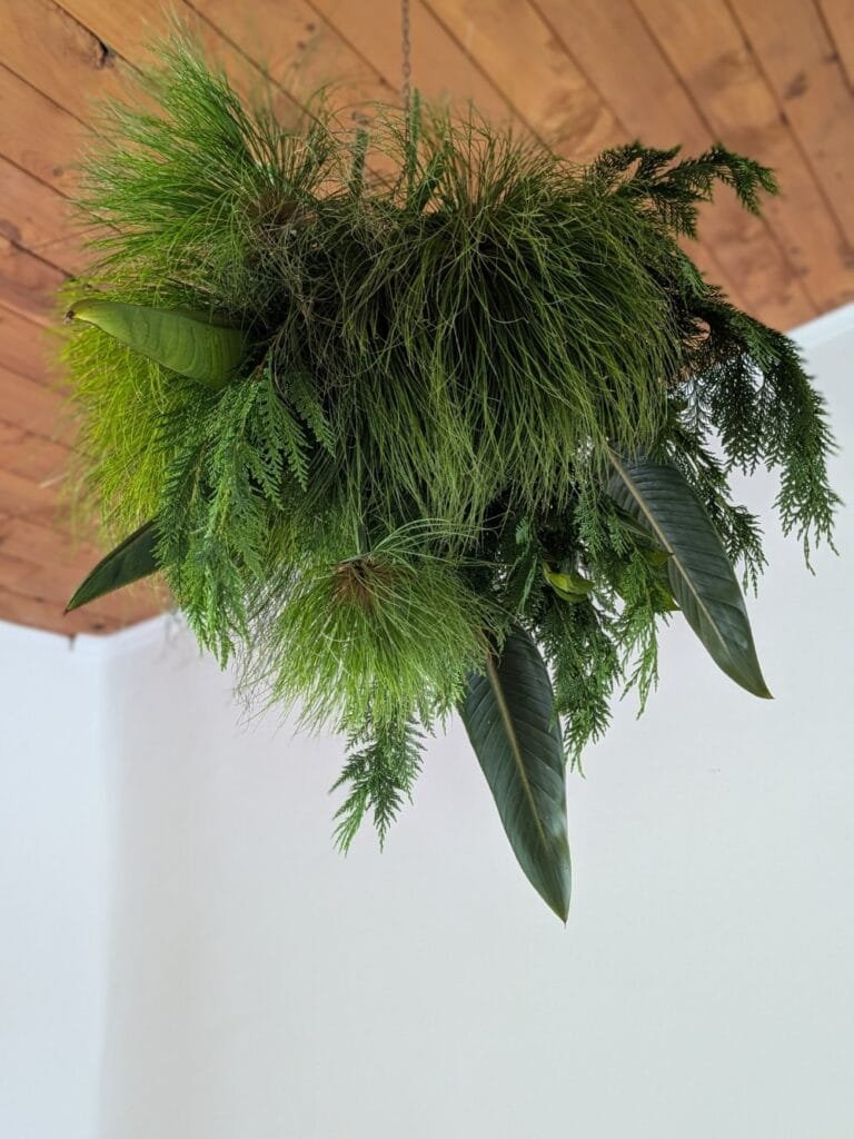 A textural hanging arrangement designed and created by Kin Florist Matakana. It features a large cluster of lush, cascading seasonal foliage. The greenery includes grassy papyrus, conifer, and bird of paradise leaves.
